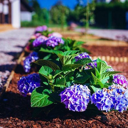 Apartamenty Wiatr I Woda Mikołajki Bagian luar foto