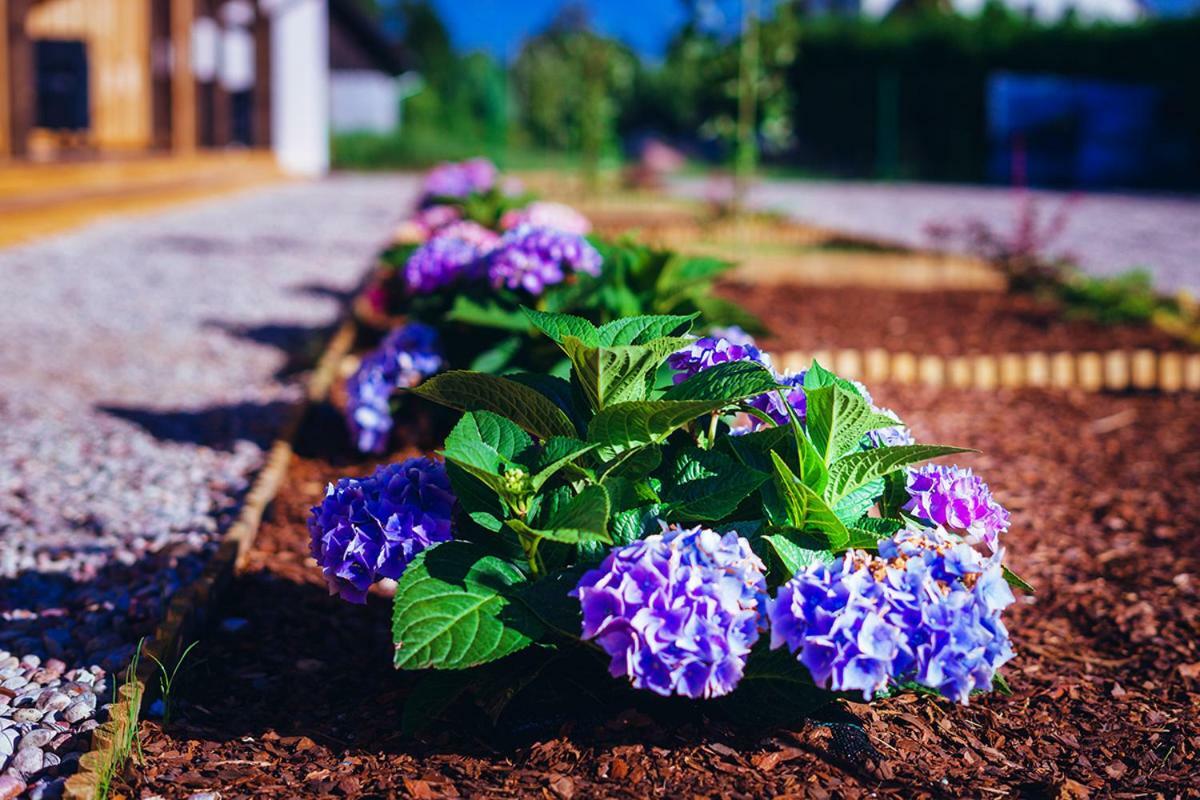 Apartamenty Wiatr I Woda Mikołajki Bagian luar foto